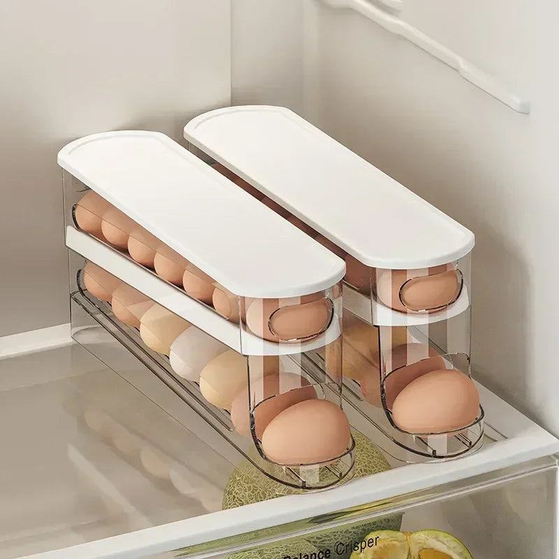 Distributeur d'Œufs Automatique pour Réfrigérateur
